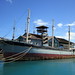 William Matson Photo 24