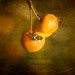 Jill Welch Photo 19