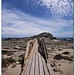Paul Diaz Photo 12
