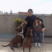 Nancy Plaza Photo 16