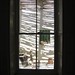 Edward Gregor Photo 10