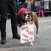 Jim Dodson Photo 6
