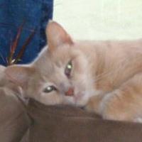 Linda Schafer Photo 32