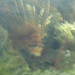 Toby Williamson Photo 6