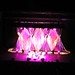 Barbara Reynolds Photo 17