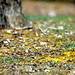 Jonathan Greene Photo 15