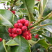 Holly Greenleaf Photo 7