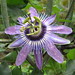 Betty Young Photo 28