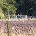 Heather Pheasant Photo 6