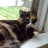 Eva Parker Photo 38