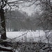 Sue Sutton Photo 15