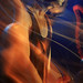 John Gomez Photo 25