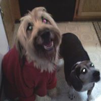 Donna Newman Photo 16