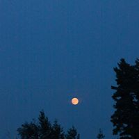Mark Freed Photo 31