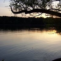 Terri Godwin Photo 6