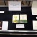 Jill Timm Photo 20