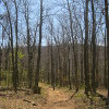 Dorothy Carter Photo 6