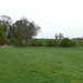 Mark Ecton Photo 6