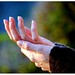 Donna Hands Photo 7