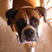 Gretchen Brown Photo 12