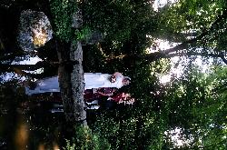 Nancy Ryan Photo 30