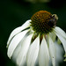 Michelle Swan Photo 36