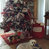 Cheryl Howell Photo 29
