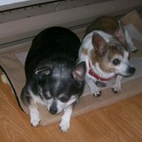 Patricia Prather Photo 17