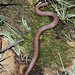 Michael Plant Photo 17