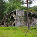 June Bunker Photo 10