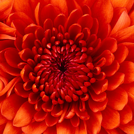 Nancy Merida Photo 9