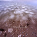 Ray Wolfe Photo 9