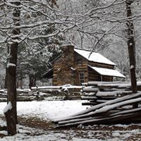 Lisa Frieman Photo 5