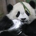 Zhi Li Photo 5