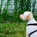 Brandy May Photo 42