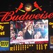Kelly Busch Photo 8