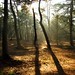 Ray Holland Photo 28