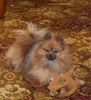 Terry Matthews Photo 47