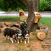 Catherine Abram Photo 9
