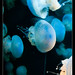 Eric Daley Photo 37