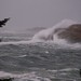 Gale Winters Photo 13