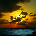 Jose Vargas Photo 37