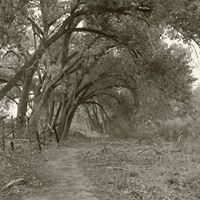 Scott Mcclung Photo 31
