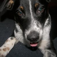Ericka Wells Photo 11