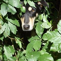 Linda Fitzsimmons Photo 32