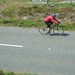 Judith Harris Photo 13