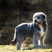 Donna Meadows Photo 15