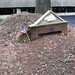 Elizabeth Morrell Photo 14