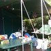 Deborah Camp Photo 14
