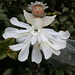 Gina Bowles Photo 2